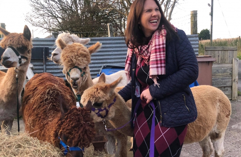 Trudy Harrison visits Yeathouse Alpacas